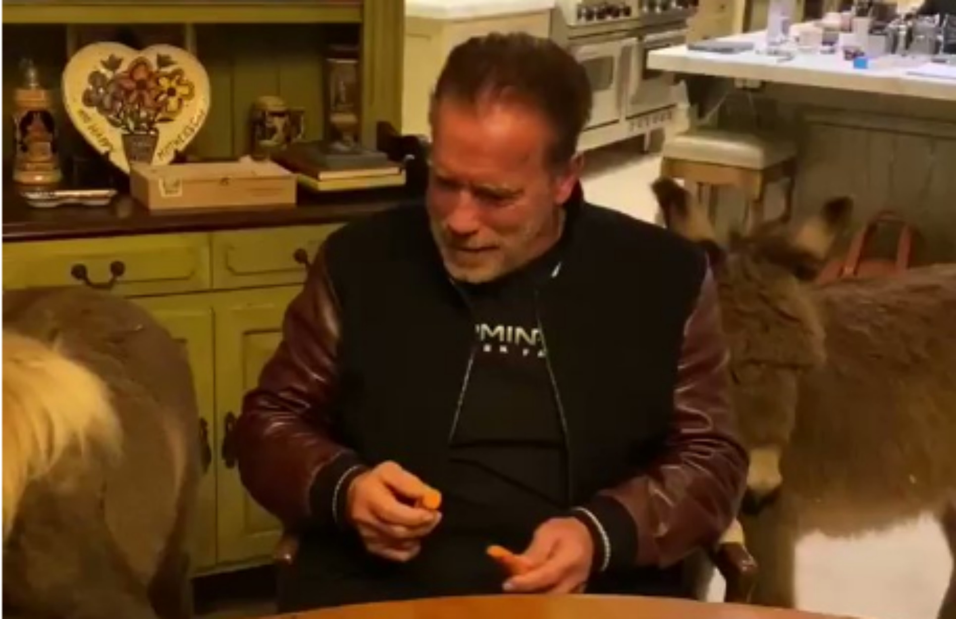 Ο Άρνολντ Σβαρτσενέγκερ στέλνει το δικό του μήνυμα για τον κορονοϊό