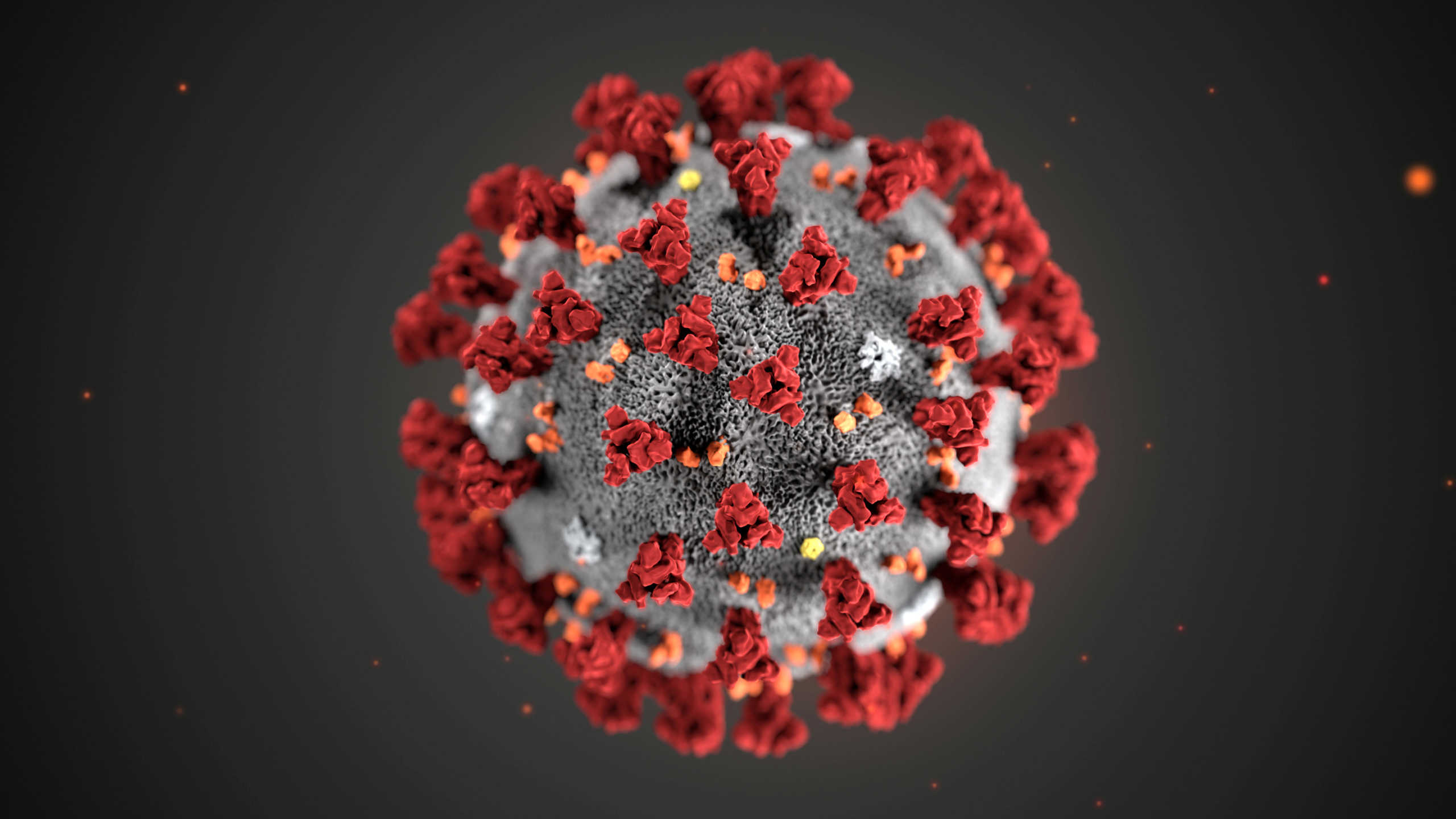 FILE PHOTO: The ultrastructural morphology exhibited by the 2019 Novel Coronavirus (2019-nCoV), which was identified as the cause of an outbreak of respiratory illness first detected in Wuhan, China, is seen in an illustration released by the Centers for Disease Control and Prevention (CDC) in Atlanta, Georgia, U.S. January 29, 2020. Alissa Eckert, MS; Dan Higgins, MAM
