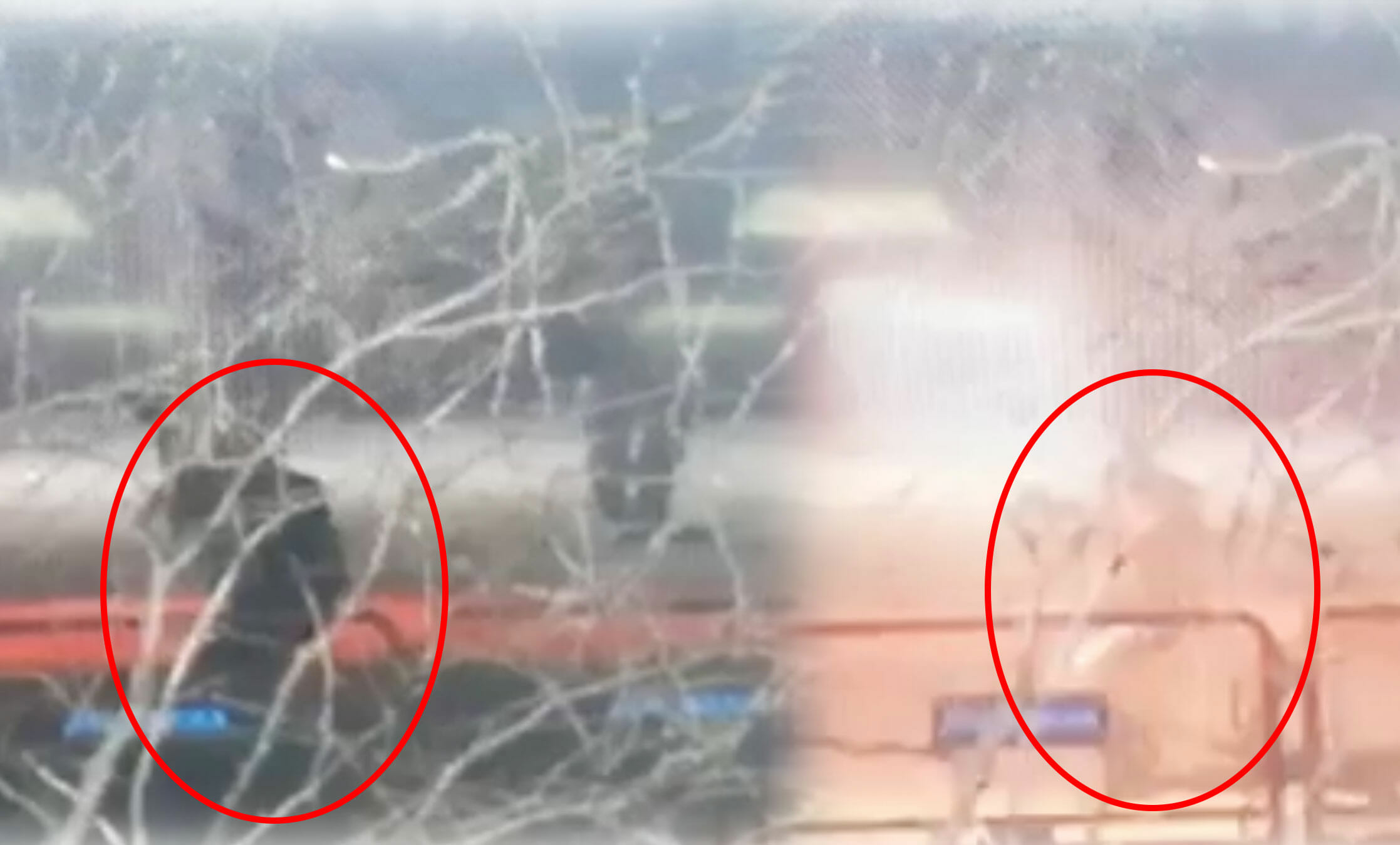 Έβρος: Τούρκος ένστολος φτάνει στον φράχτη και πετά χημικά! Νέες εικόνες ντοκουμέντο