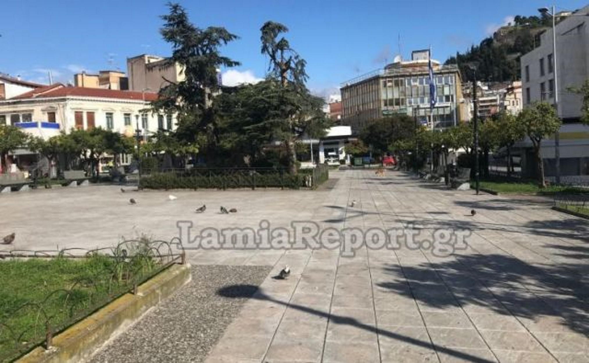 Εκκωφαντική ησυχία στις μέρες κορονοϊού: Μόνο… περιστέρια κυκλοφορούν στο κέντρο της Λαμίας