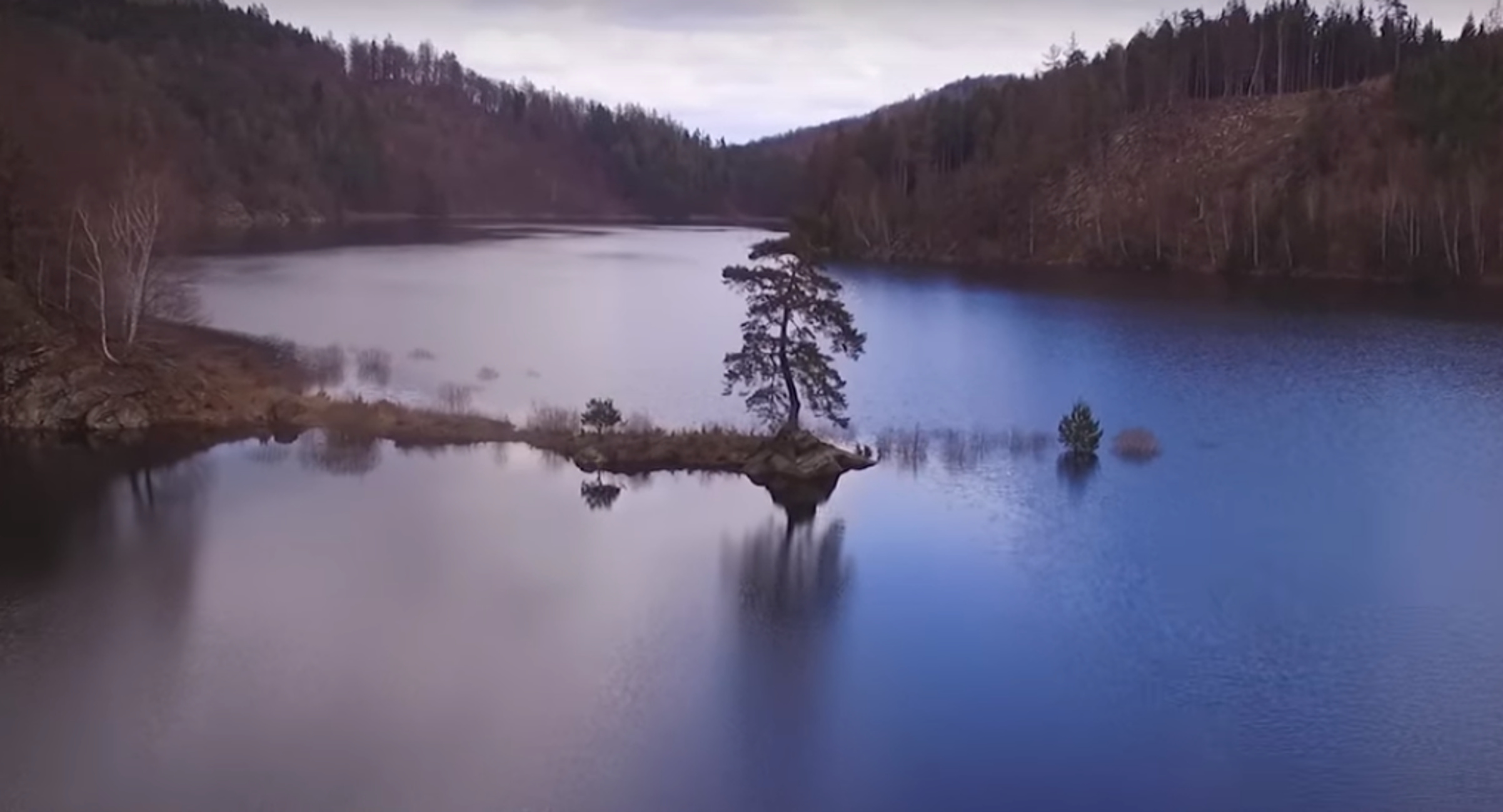 Ο ”Φύλακας του Πλημμυρισμένου Χωριού” το πιο όμορφο δέντρο της Ευρώπης