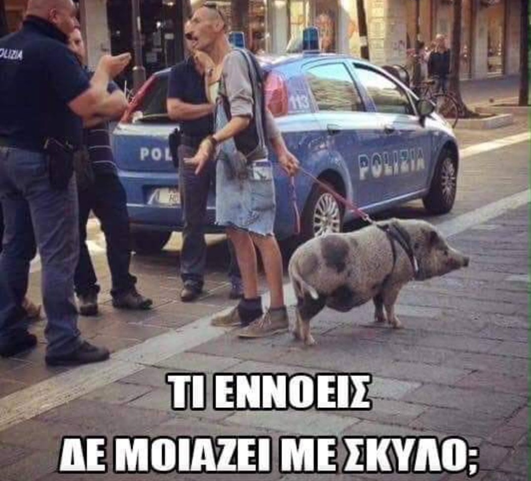 Αξίζουμε λίγο γέλιο! Η απαγόρευση της κυκλοφορίας, έφερε χιούμορ στα social! Φωτογραφίες