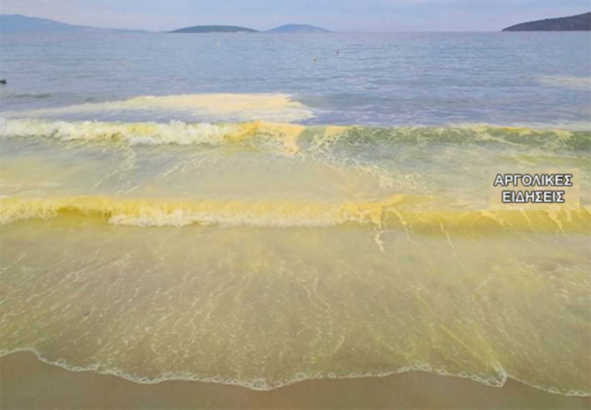 Κιτρίνισε η θάλασσα στο Τολό – Δείτε γιατί (pics, video)