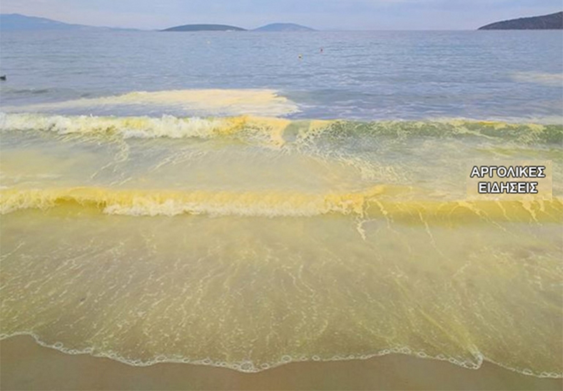 Κιτρίνισε η θάλασσα στο Τολό – Δείτε γιατί (pics, video)