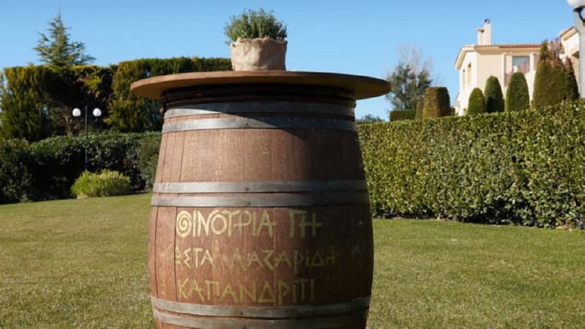 MasterChef: Ο λόγος μόνο στους δύο αρχηγούς