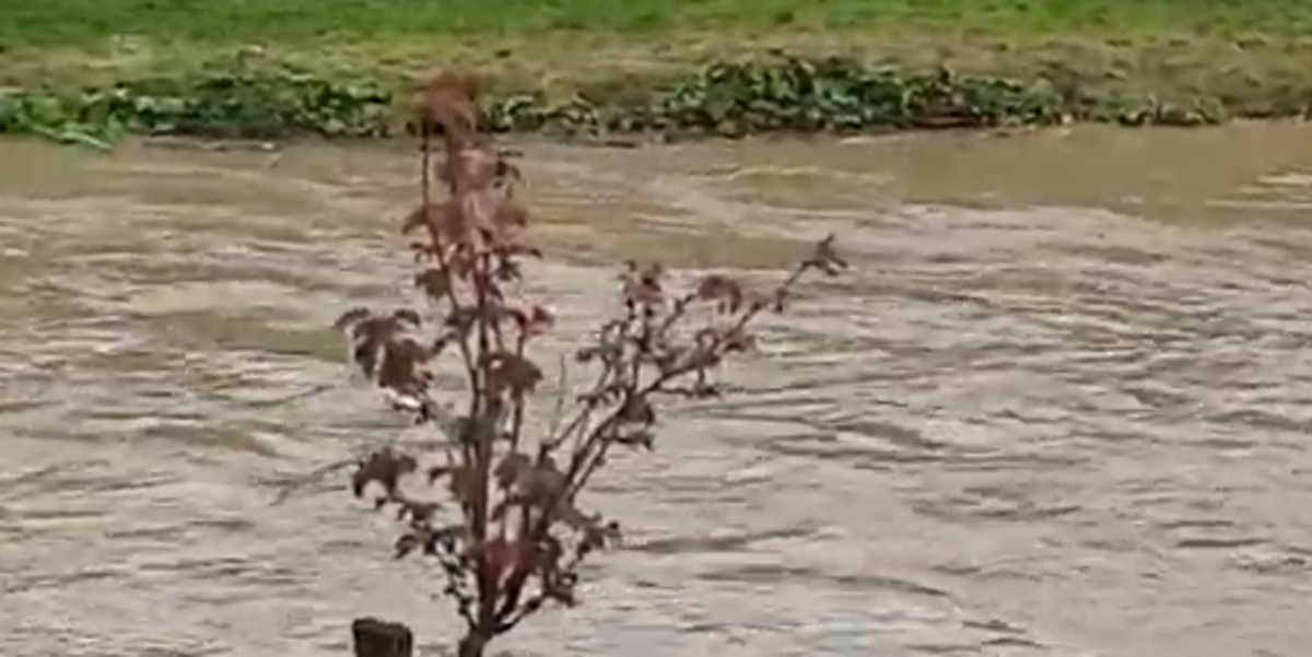 Αγωνία στα Τρίκαλα: “Φούσκωσε” επικίνδυνα ο ποταμός Ληθαίος (video)