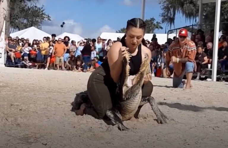 Φάτσα με τον θάνατο: Γυναίκα βάζει το κεφάλι της στα σαγόνια αλιγάτορα!