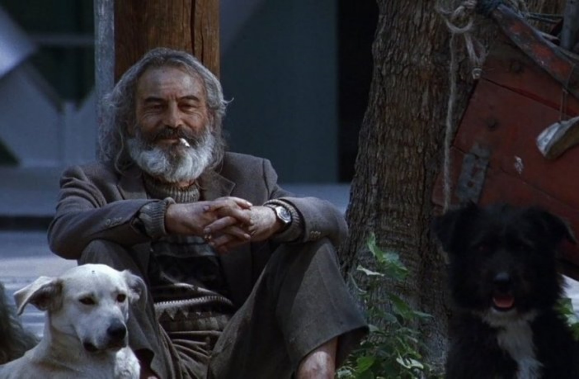 25 μη χολιγουντιανές ταινίες που μπορείς να στριμάρεις από την άνεση του καναπέ σου