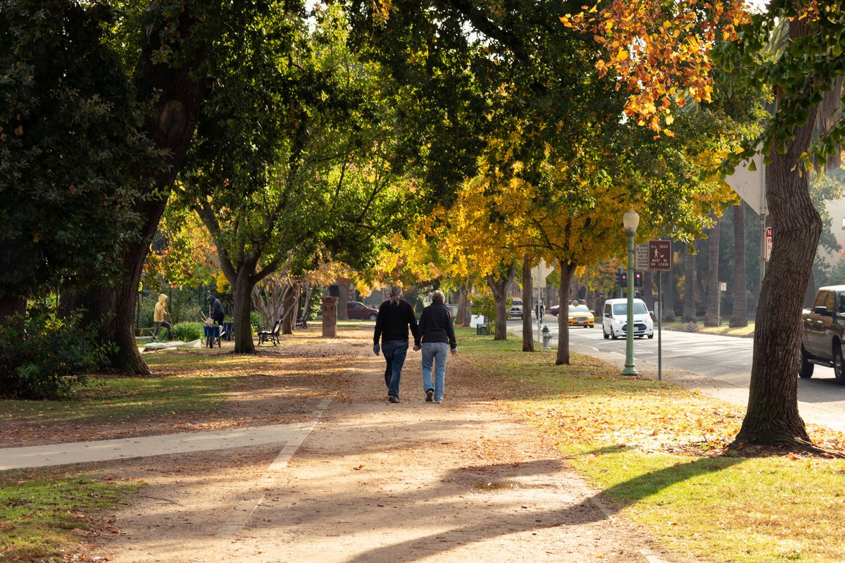 People walk beneath trees in Sacramento, California, in October 2019. Handout photo by Stephanie Robinson