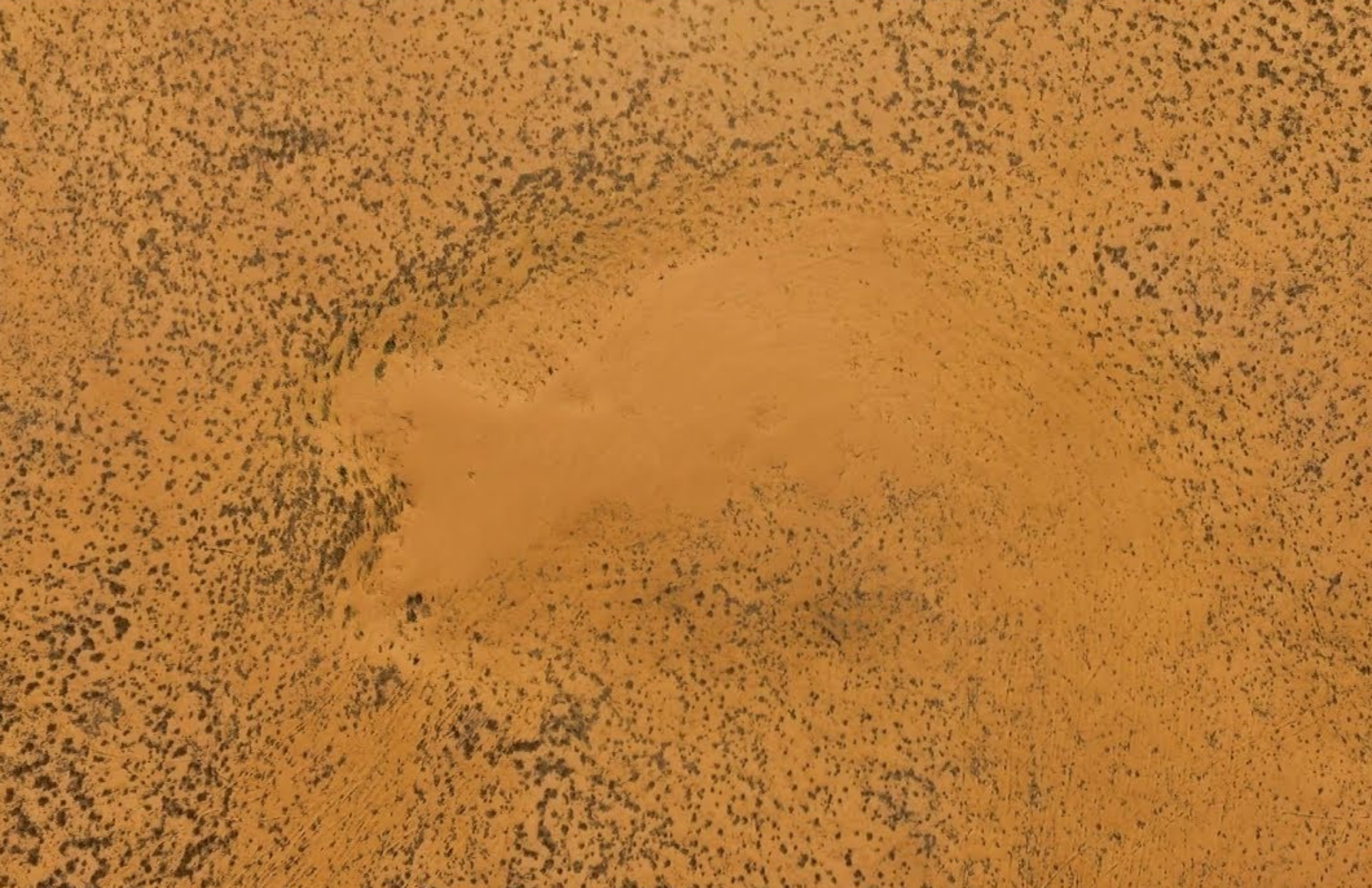 Λιβύη: 20 άνθρωποι πέθαναν από δίψα διασχίζοντας την έρημο μετά από βλάβη στο αυτοκίνητο
