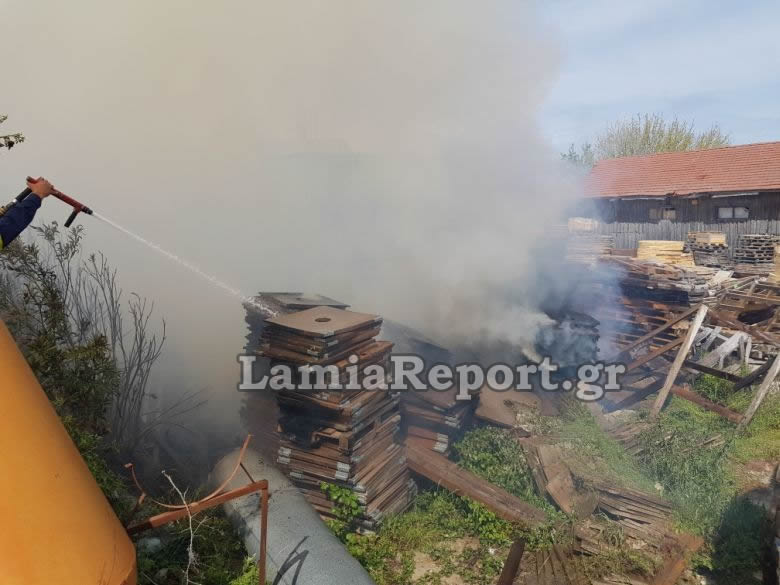 Λαμία: Συναγερμός για φωτιά σε εργοστάσιο ξυλείας! Επί τόπου οι πυροσβέστες (Φωτό)