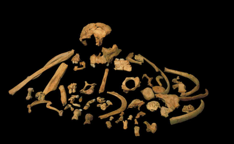 Δέος: Βρέθηκε γενετικό υλικό ανθρώπου 800.000 ετών! (pics)