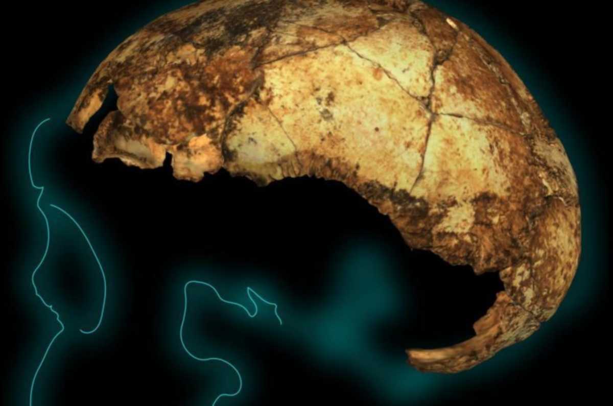Ανακαλύφθηκε το αρχαιότερο κρανίο Homo erectus (pic)