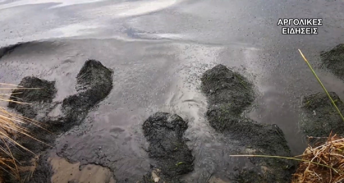 Ναύπλιο: Είδαν αυτές τις εικόνες στη θάλασσα και “πάγωσαν”! Η εξήγηση πίσω από τα πλάνα (Βίντεο)