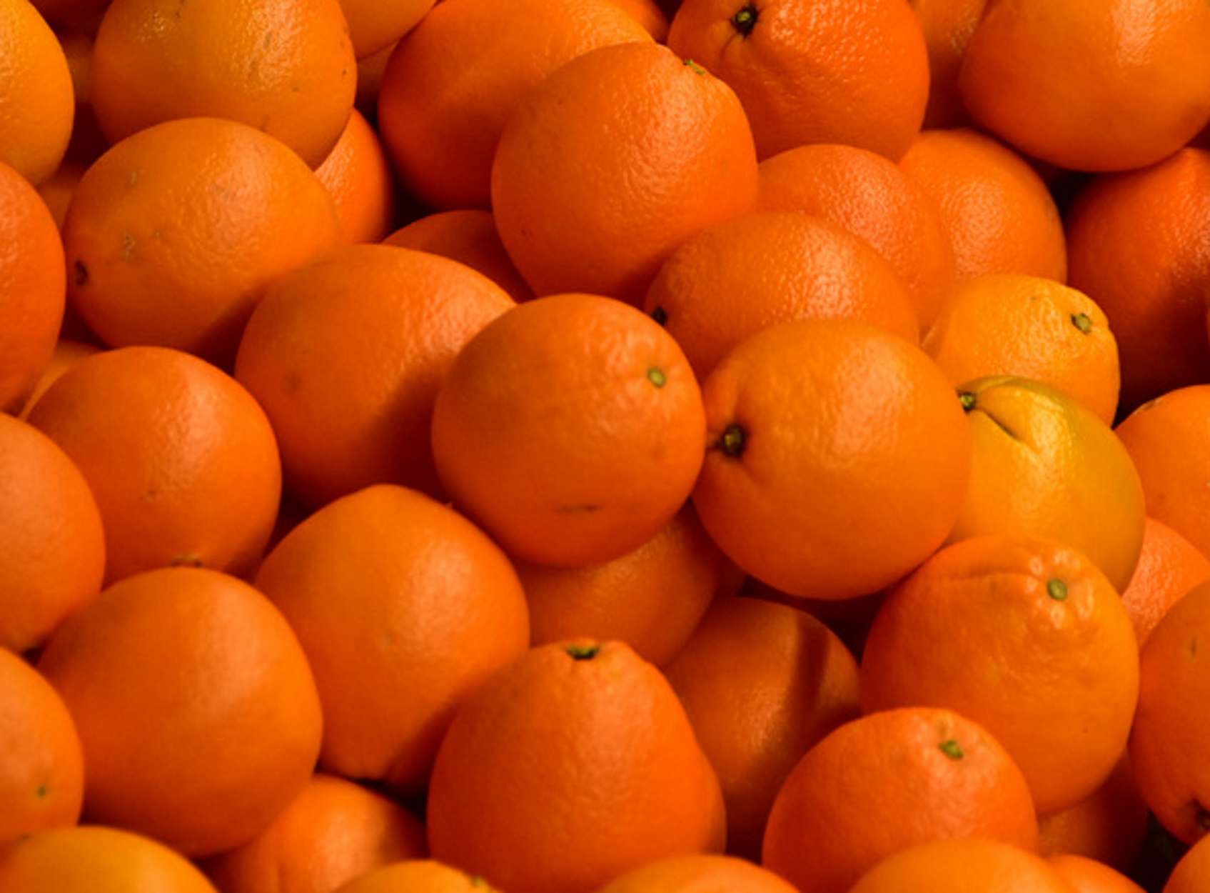 Αργολίδα: Σπείρα – “ακρίδα” άρπαξε 9 τόνους πορτοκάλια από αγροκτήματα