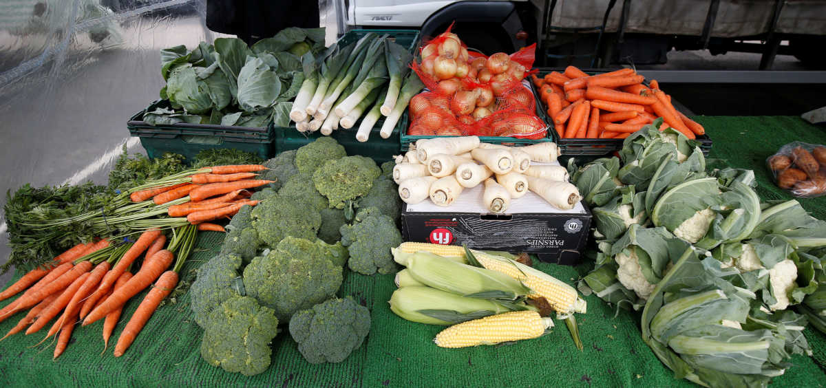 Mediterranean Combo: Εξαγωγικές ευκαιρίες για φρούτα και λαχανικά υψηλής ποιότητας