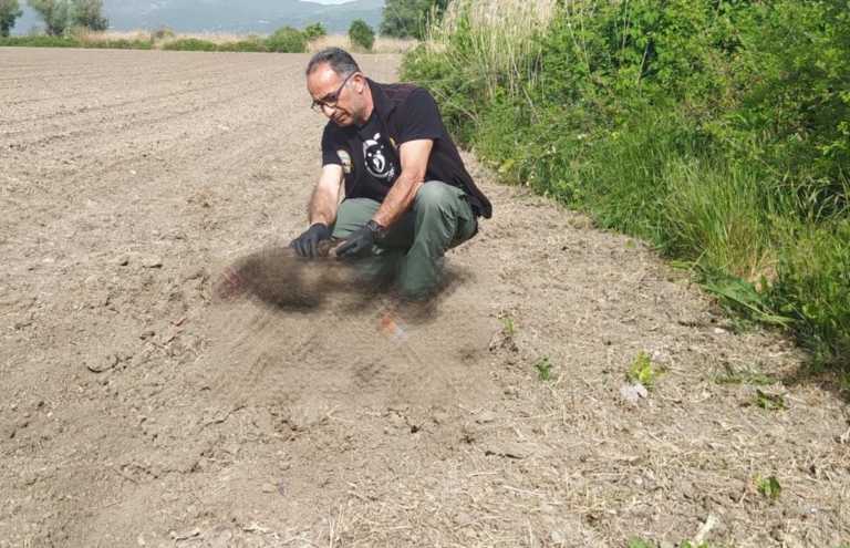 Δύο αρκουδάκια βρέθηκαν θαμμένα σε αγρόκτημα στην Καστοριά
