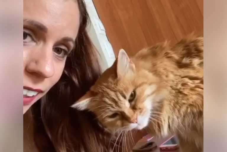Η Κατερίνα Στεφανίδη άνοιξε… κουβέντα με τη γάτα της! «Σε κούρασε η καραντίνα;» (video)