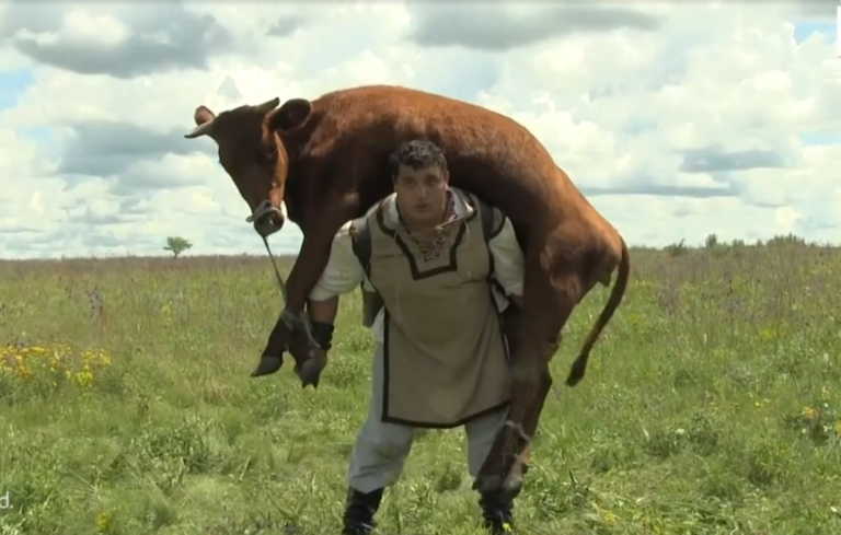 Ρώσος σηκώνει στους ώμους αγελάδα 350 κιλών για περισσότερο από 1 λεπτό!