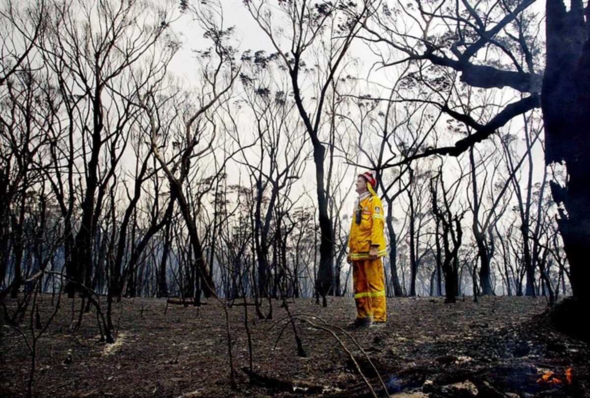 Ο καπνός από τις φωτιές στην Αυστραλία σκότωσε 445 ανθρώπους