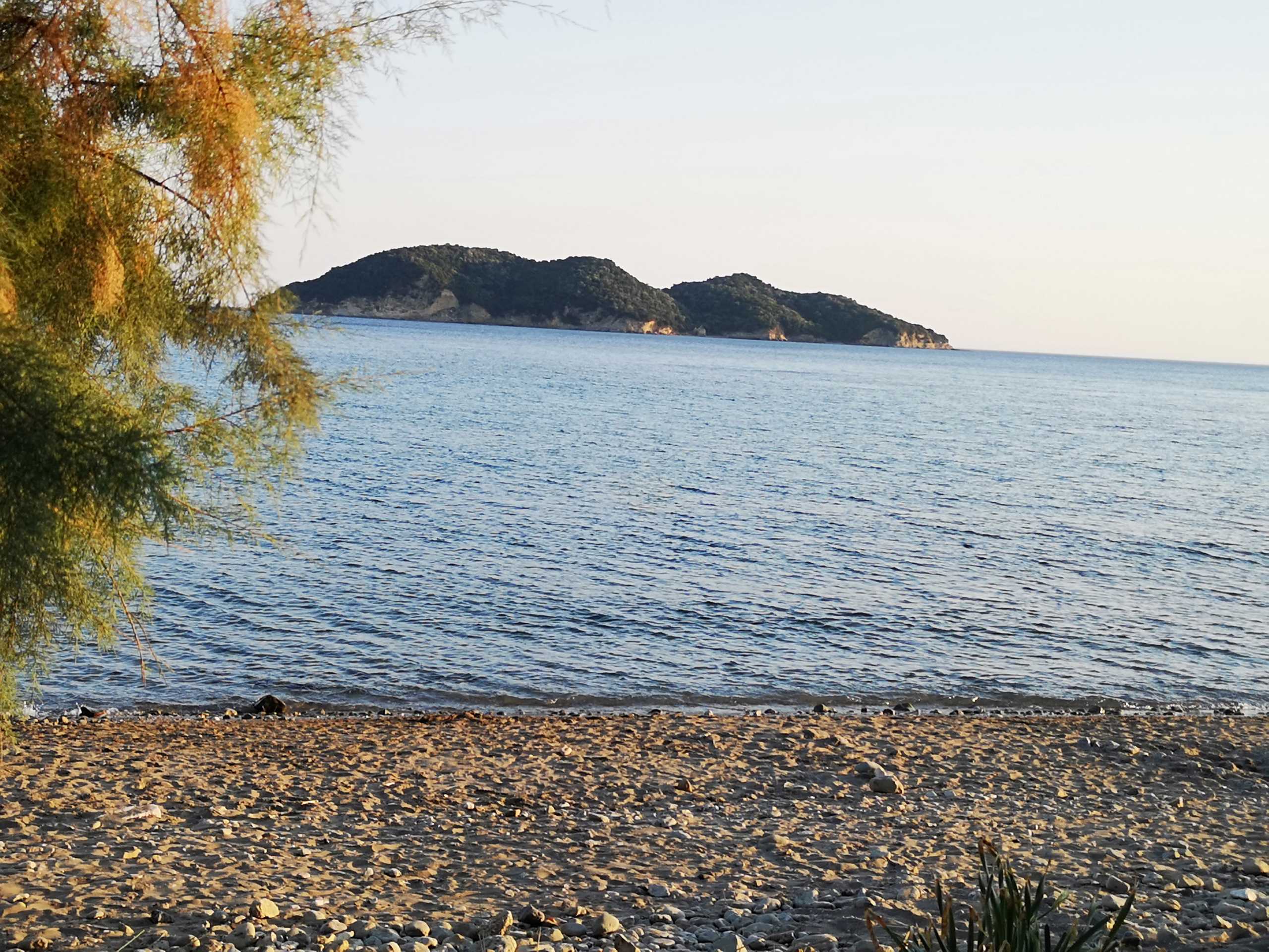 Ανακαλύψτε τη Δάφνη: Μια παραδεισένια παραλία με κρυστάλλινα νερά στη Ζάκυνθο