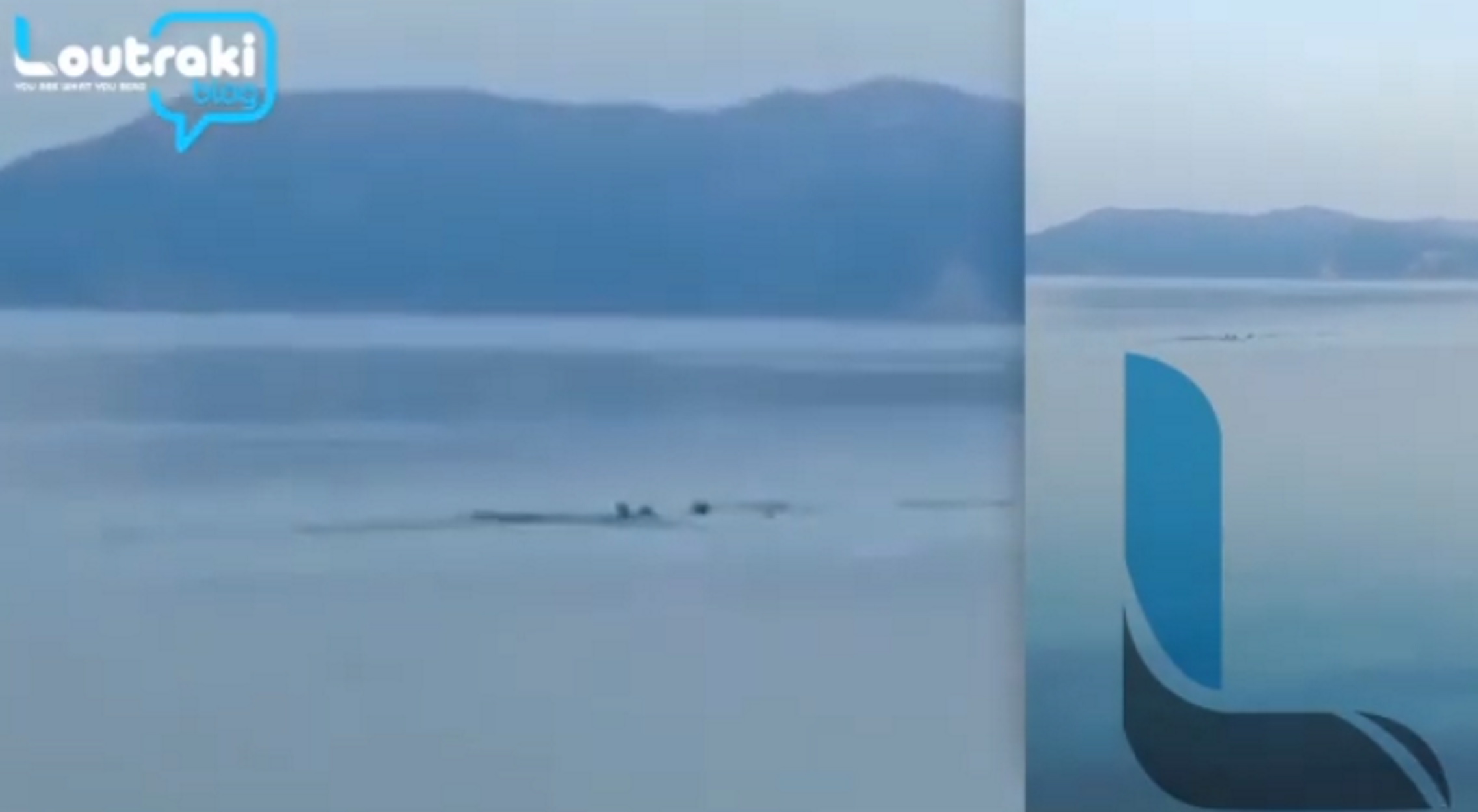Λουτράκι: Δελφίνια “βολτάρουν” στον Κόλπο των Αλκυονίδων (video)