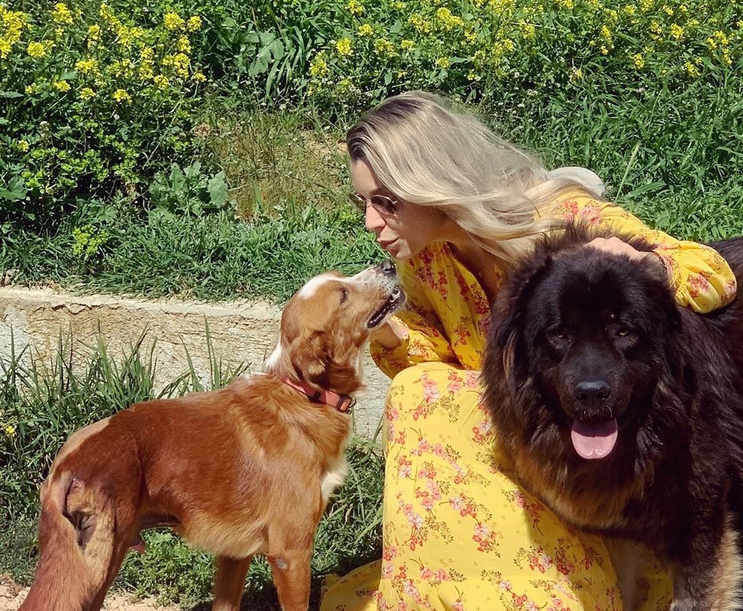 Kατρίνα Τσάνταλη: Ραγίζει καρδιές το μήνυμα της σ΄αυτόν που πυροβόλησε τον σκύλο που προσπάθησε μάταια να σώσει!