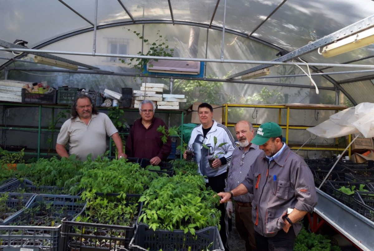 Αγία Βαρβάρα: Δωρεάν διάθεση 20.000 φυτών και παραδοσιακών σπόρων