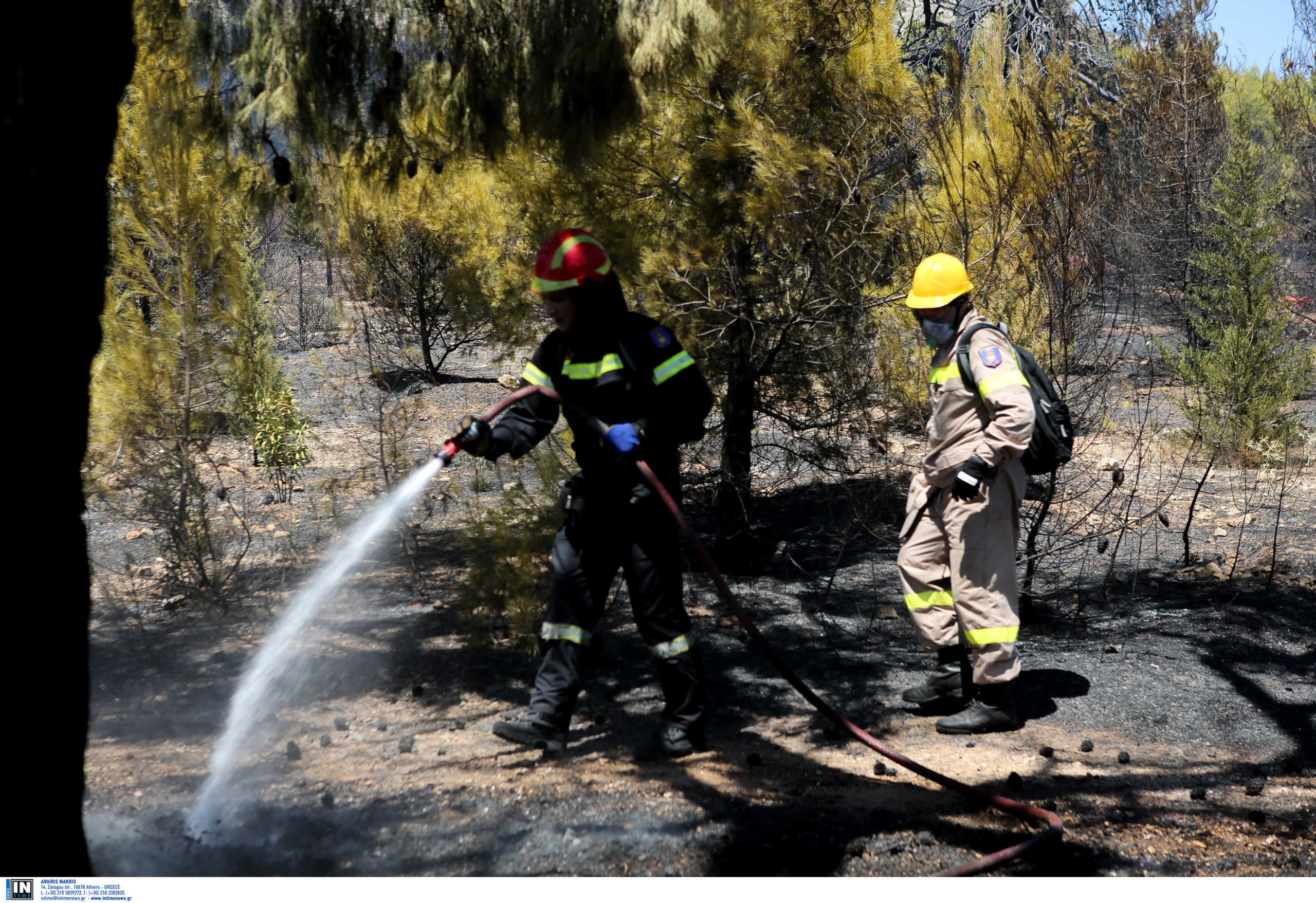 Κινδύνευσαν σπίτια από τη φωτιά στην Κρήτη
