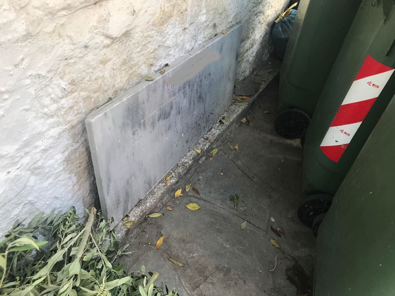 Καβάλα: Πλησίασαν τον κάδο σκουπιδιών και αυτή η εικόνα τους “έκοψε” τα γόνατα (Φωτό)
