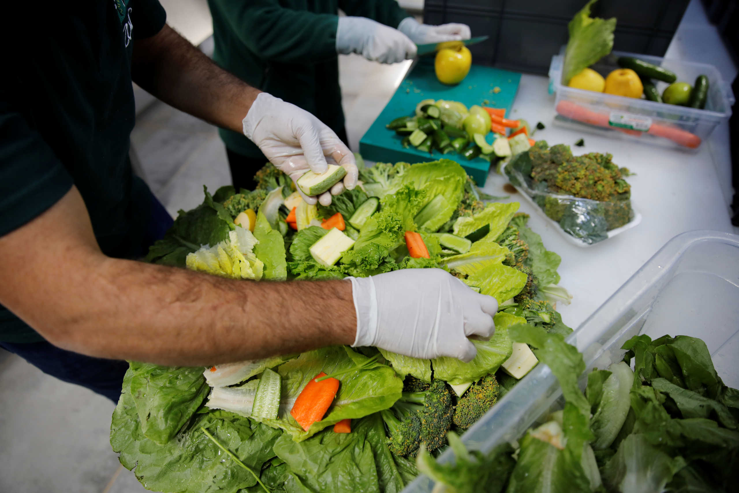 Zookeepers prepare a cake with vegetables to celebrate the 100th birthday of Tuki, an Aldabra Giant tortoise, at Faruk Yalcin Zoo, amid the spread of the coronavirus disease (COVID-19) in Darica, 60 kilometers east of Istanbul, Turkey, April 30, 2020. REUTERS