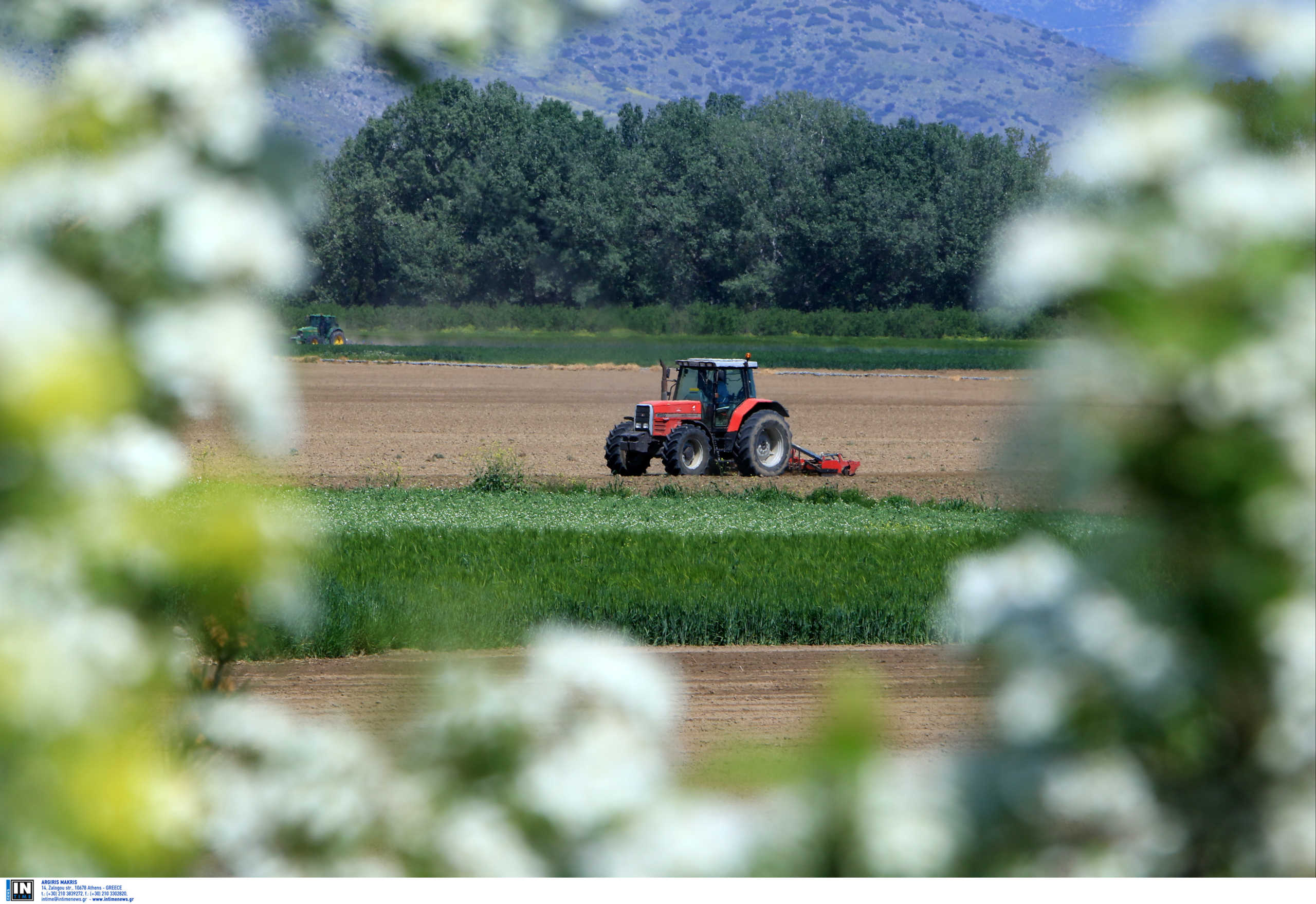 Ημαθία: Στα χωράφια μετά από 30 ολόκληρα χρόνια Έλληνες εργάτες! Ο κορονοϊός άλλαξε τα πάντα
