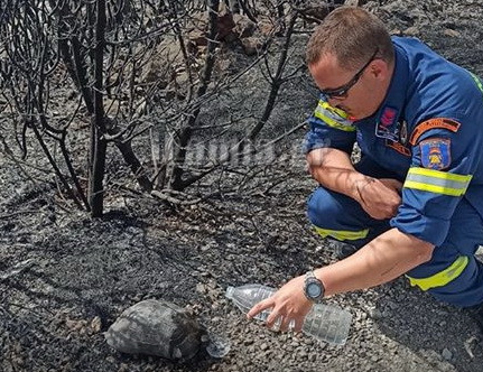 Μαρτίνο: Η ζωή στα καμένα – Πυροσβέστης δίνει νερό σε χελώνα