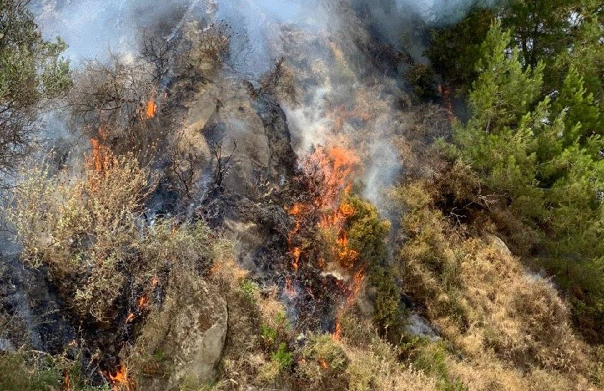 Φωτιά στη Ζάκυνθο – Καίγεται δάσος (pics)