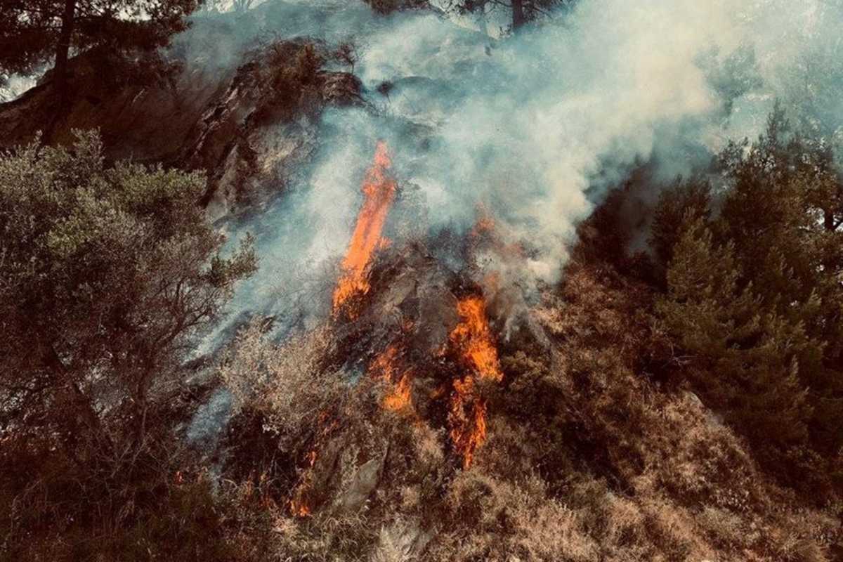 Ελέγχεται η μεγάλη φωτιά στη Ζάκυνθο (pics)