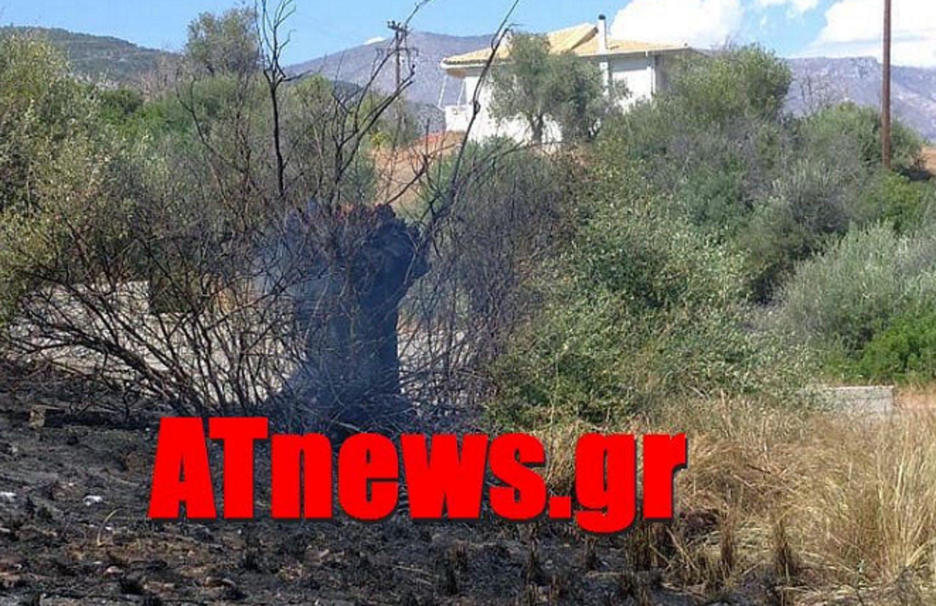 Φωτιά στους Αγίους Θεοδώρους Κορινθίας (pics, video)