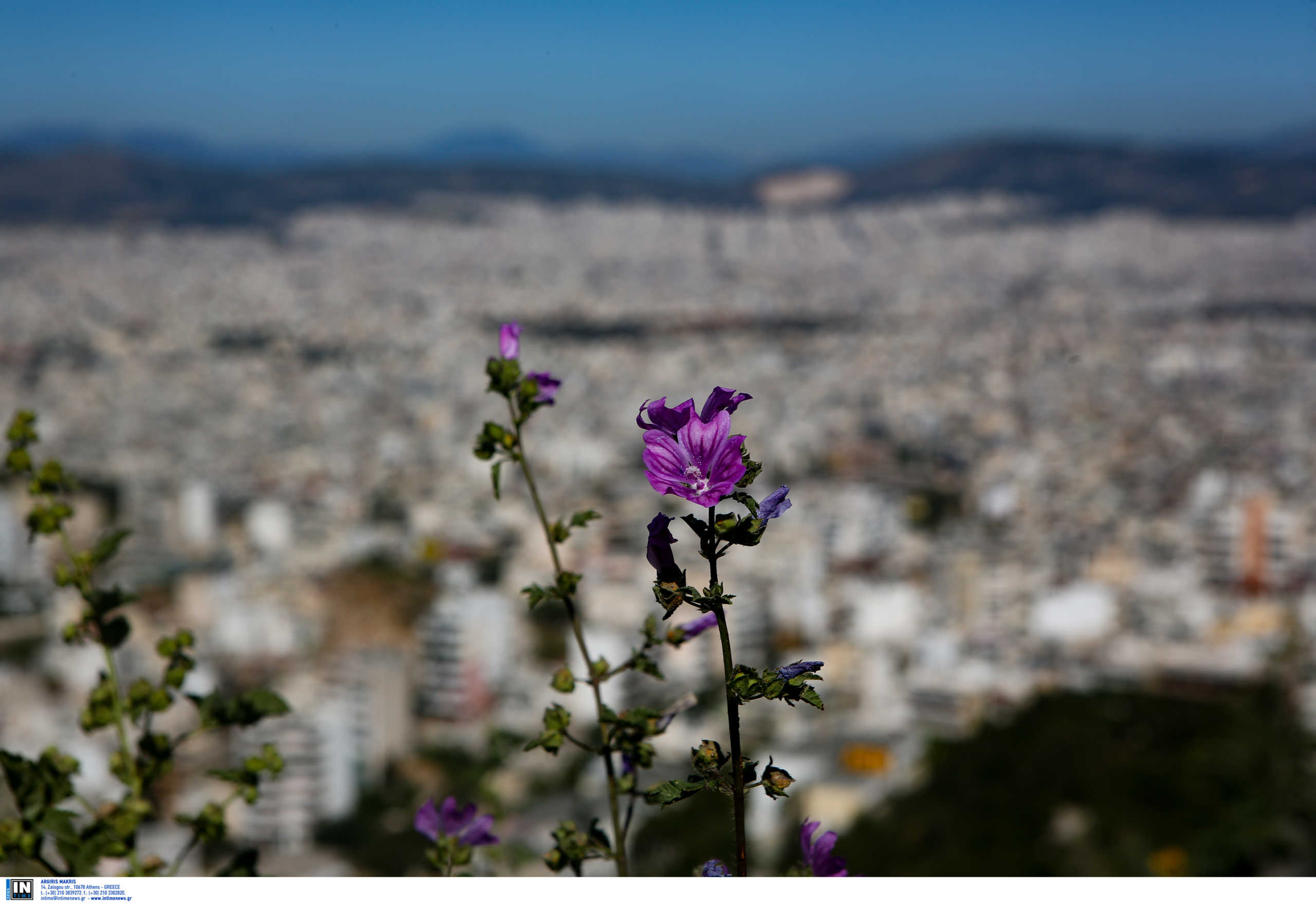 Καιρός αύριο: Αίθριος με άνοδο της θερμοκρασίας και σκόνη