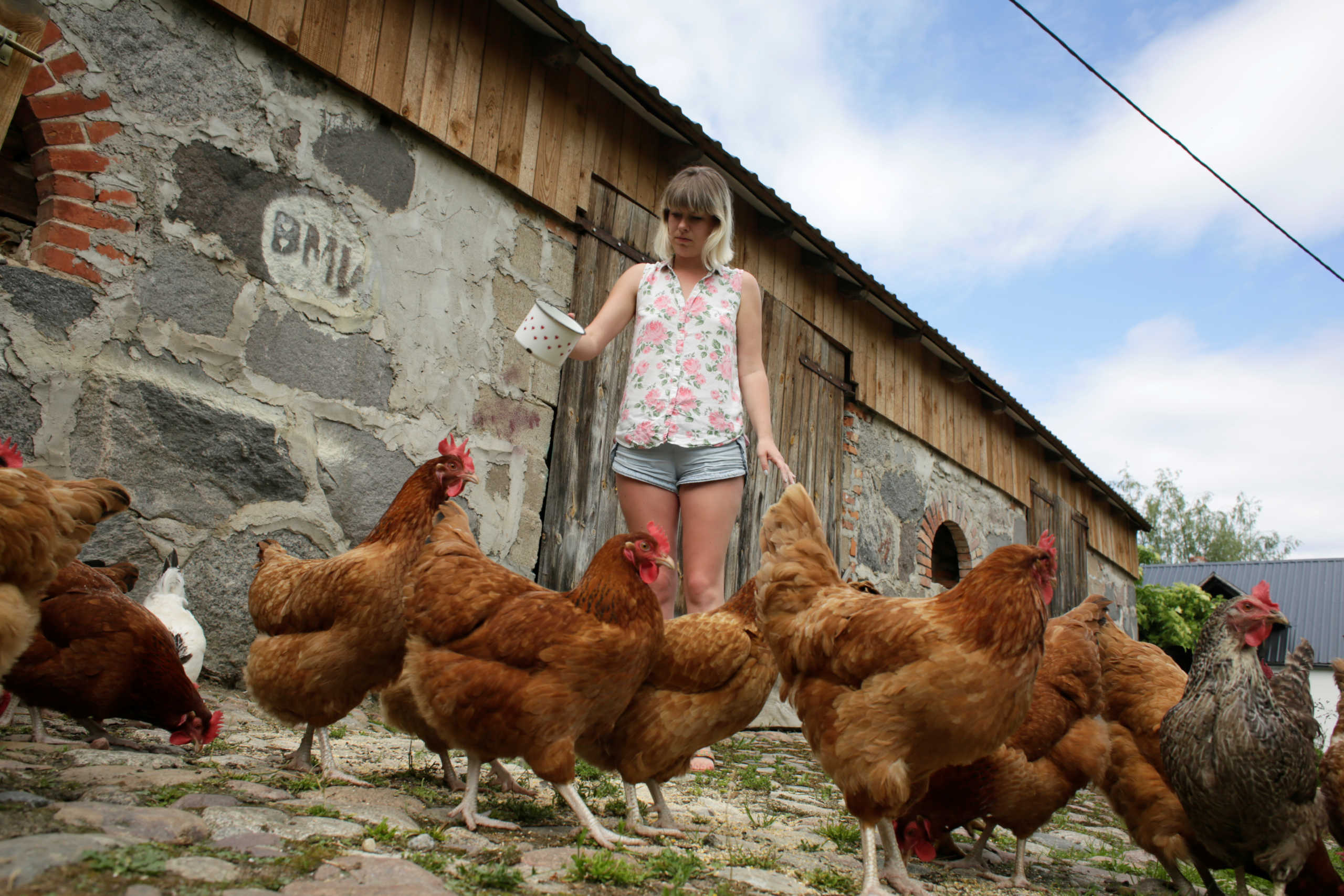 Owner of the Stare Gospodarstwo farmhouse Anna Piwowar feeds chicken, following the coronavirus disease (COVID-19) outbreak, in Pierszczewko, Poland June 16, 2020. Picture taken June 16, 2020. REUTERS