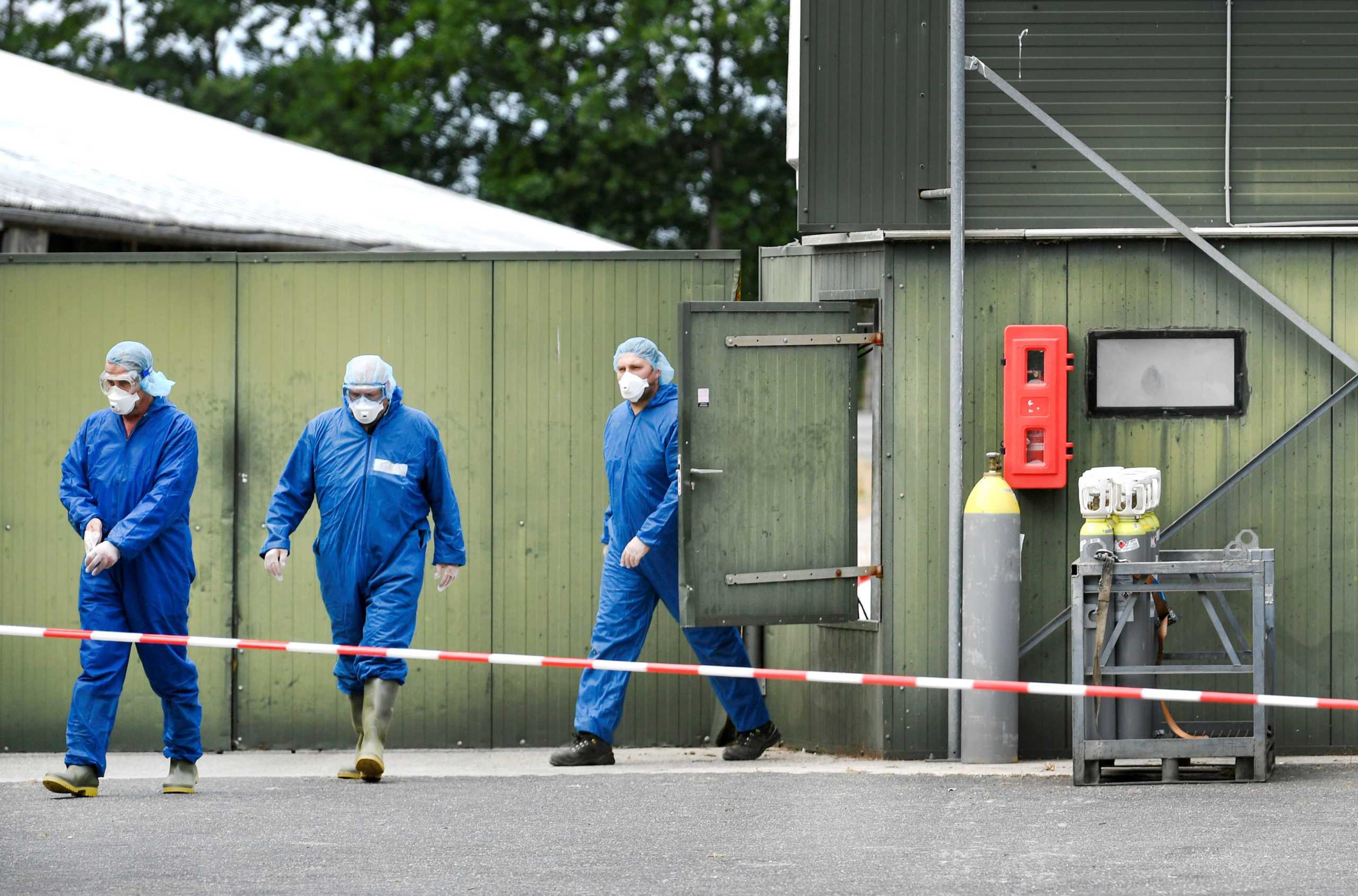 Workers in protective garments walk at a farm where minks were gassed, as the country continues a cull to prevent the animals from possibly infecting humans with the coronavirus disease (COVID-19), in De Mortel, Netherlands June 9, 2020. REUTERS