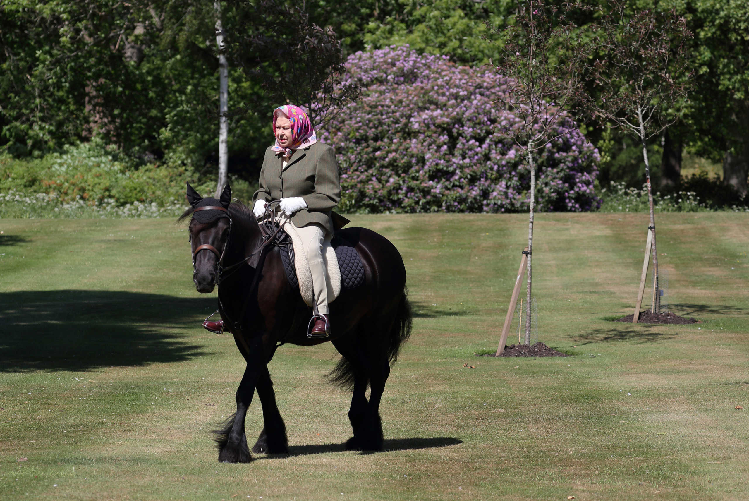 Britain's Queen Elizabeth II rides Balmoral Fern, a 14-year-old Fell pony, in Windsor Home Park, following the outbreak of the coronavirus disease (COVID-19), in Windsor, Britain, in this undated pool picture released on May 31, 2020. Steve Parsons