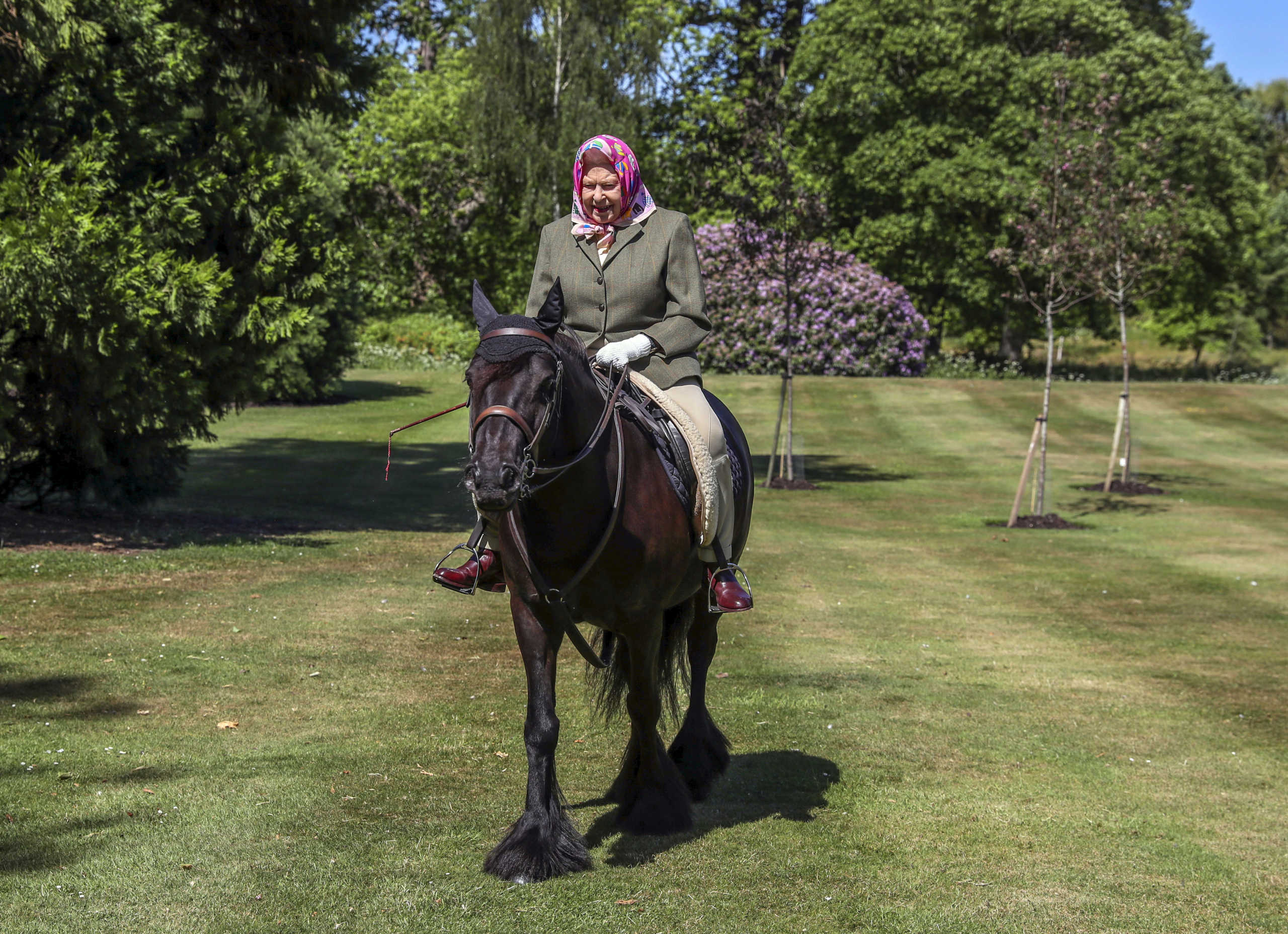 Britain's Queen Elizabeth II rides Balmoral Fern, a 14-year-old Fell pony, in Windsor Home Park, following the outbreak of the coronavirus disease (COVID-19), in Windsor, Britain, in this undated pool picture released on May 31, 2020. Steve Parsons