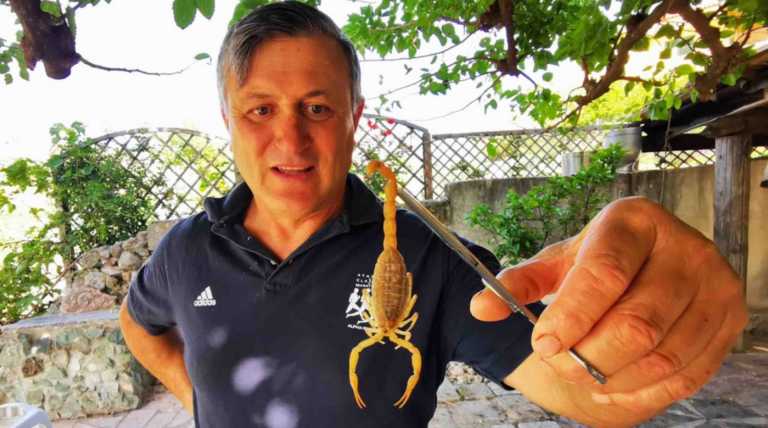 Ναύπλιο: Ο αγρότης που δεν φοβάται τους τρομερούς σκορπιούς (pics, video)