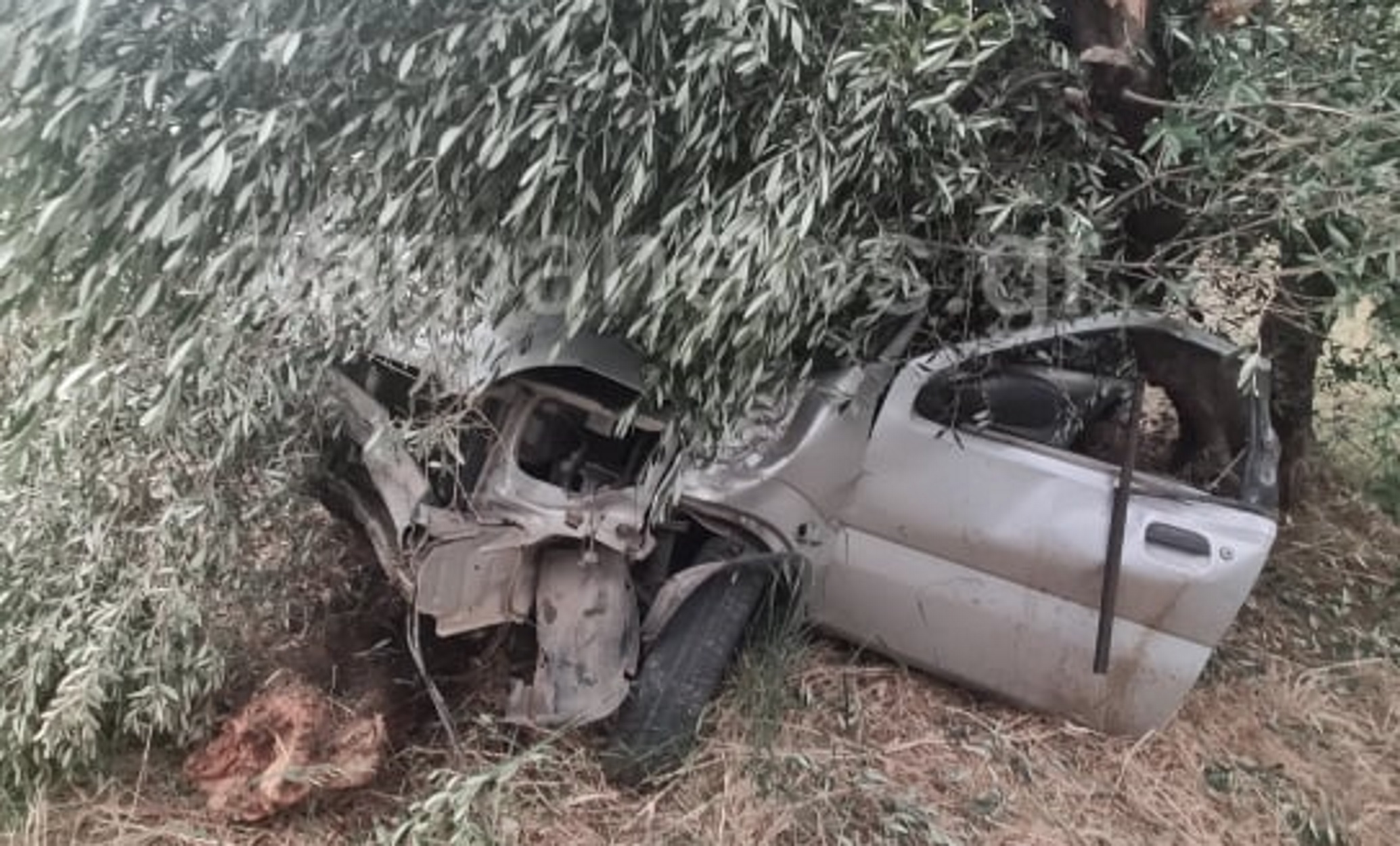Τρομακτικό τροχαίο στα Χανιά: Αυτοκίνητο έπεσε σε ελιές και διαλύθηκε (pics)