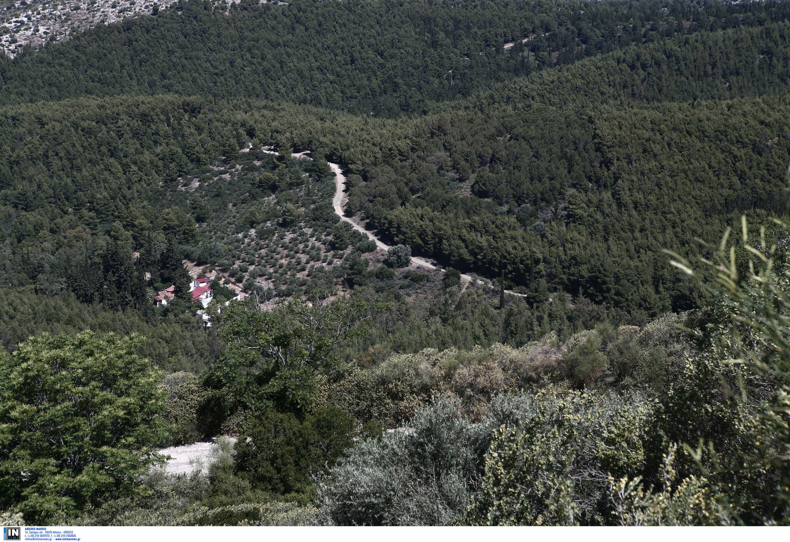 Λακωνία: Βουτιά θανάτου 87χρονου σε βαθιά χαράδρα