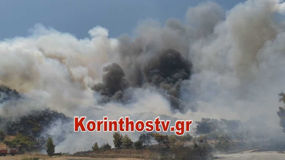 Κόρινθος: “Βασανίζουν” οι άνεμοι τους πυροσβέστες – Πολλές διάσπαρτες εστίες φωτιάς