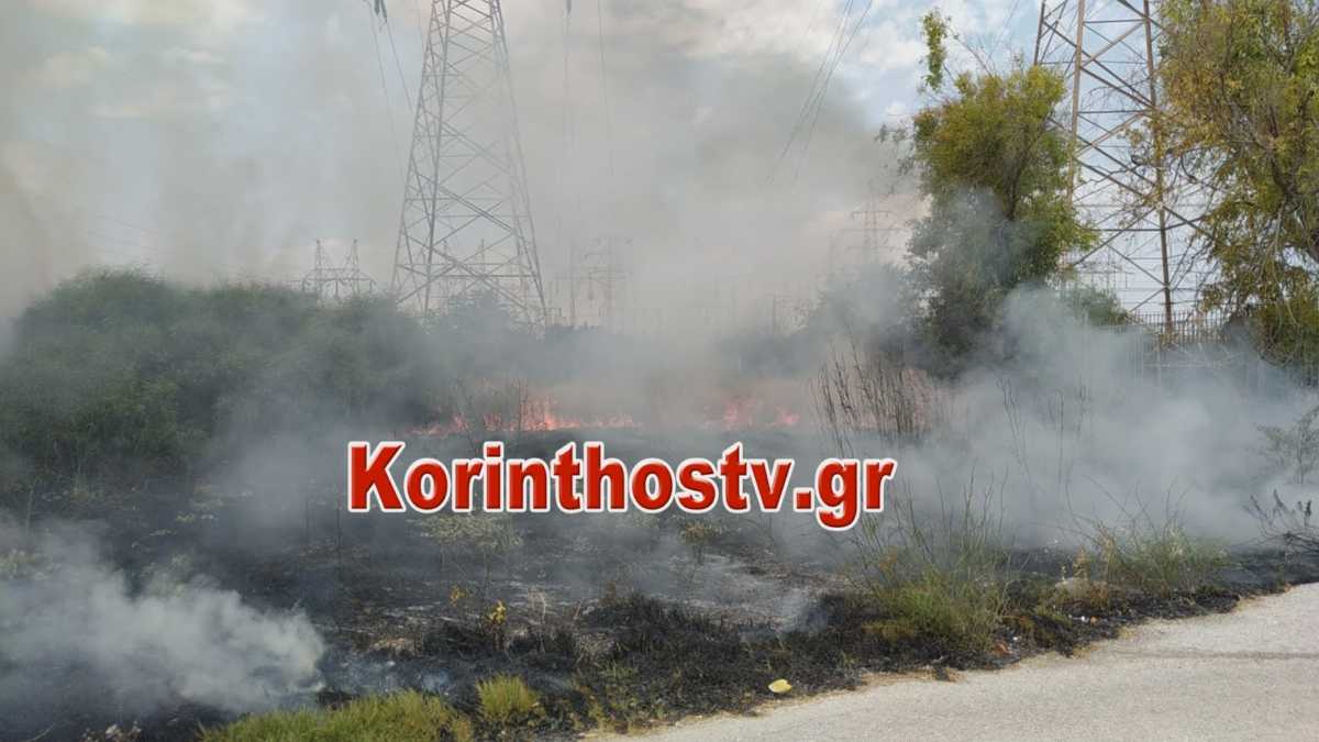 Κόρινθος: Συναγερμός για φωτιά κοντά σε σπίτια! Αυτοψία στο σημείο που επιχειρούν οι Πυροσβέστες (Βίντεο)