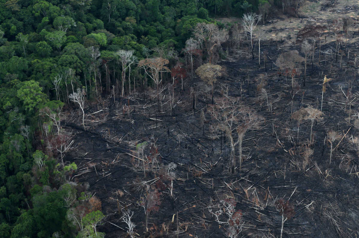 Αργοπεθαίνει το τροπικό δάσος της Αμαζονίας – Καταστροφή ρεκόρ το πρώτο εξάμηνο του 2020