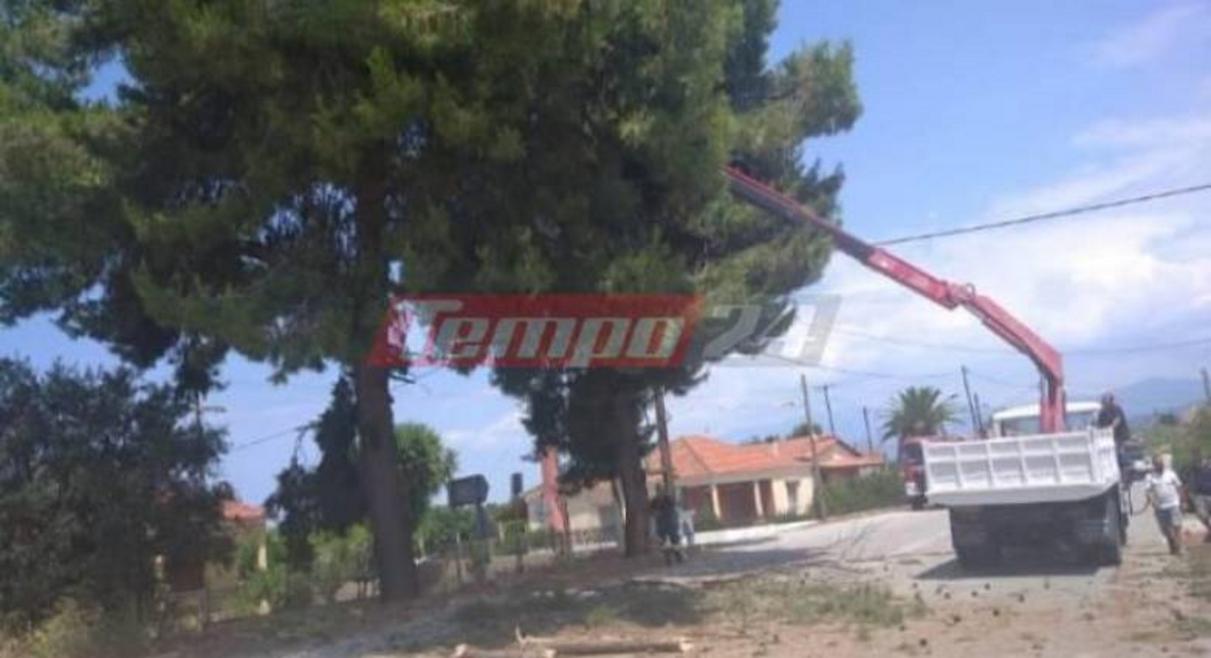 Πάτρα: Ο οδηγός κράτησε την ψυχραιμία και τον έλεγχο σε μια απρόοπτα δύσκολη στιγμή! Τι του συνέβη (Φωτό)