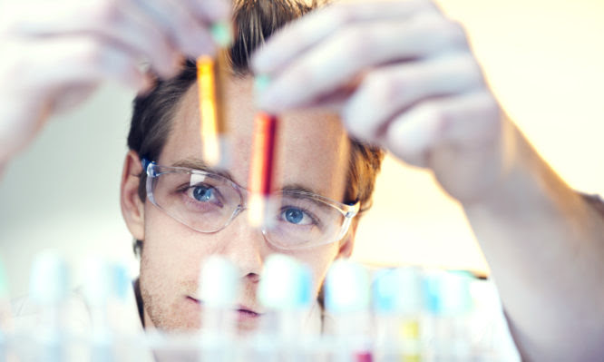 Scientist working at the laboratory