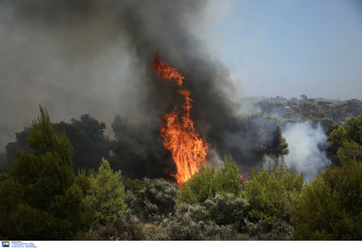 Φωτιά στο Λάκκωμα Χαλκιδικής – Μεγάλη δύναμη της πυροσβεστικής στο σημείο